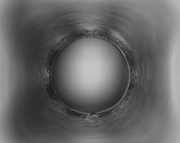 X0000094071013200710261242