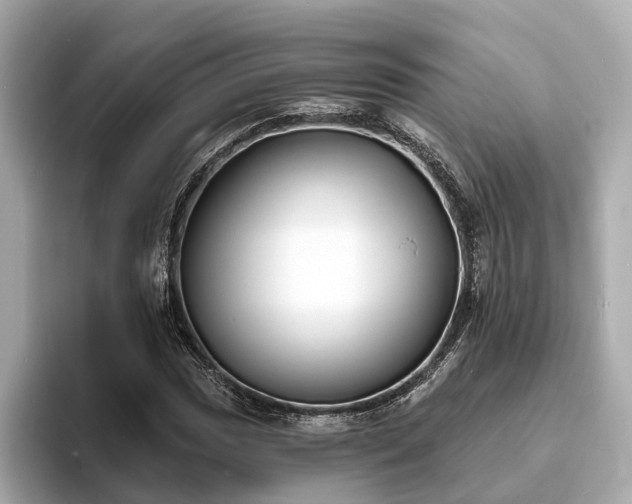 X0000094071017200710261242