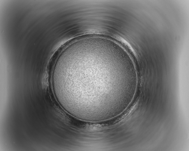 X0000094071019200710261242