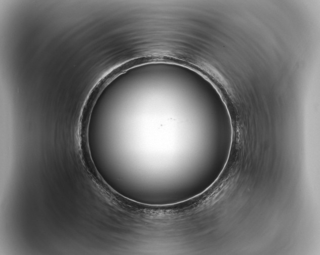 X0000094071020200710261242