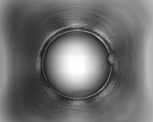 X0000094071021200710261242