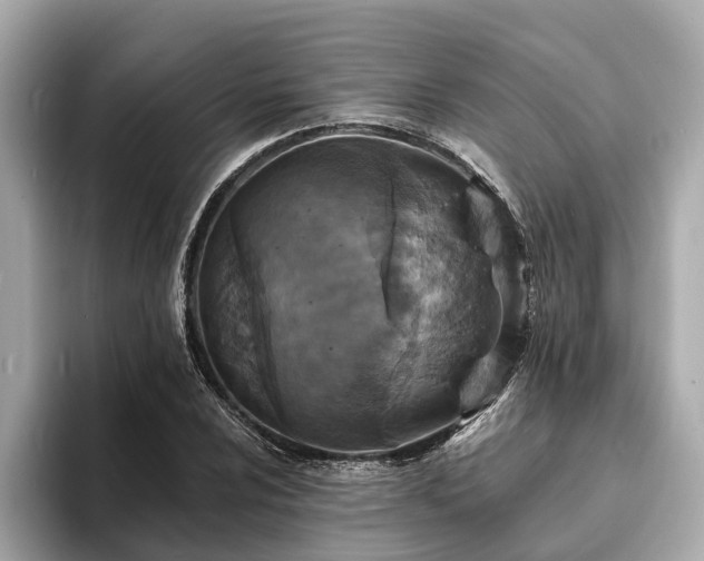 X0000094071024200710261242