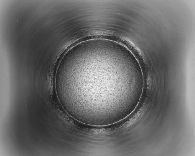 X0000094071025200710261242