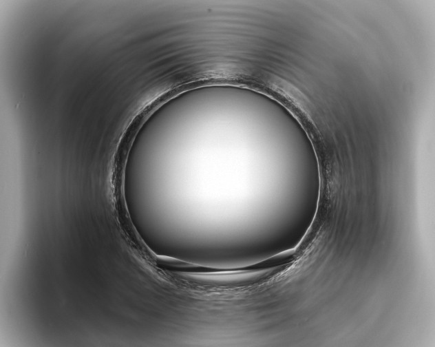 X0000094071026200710261242