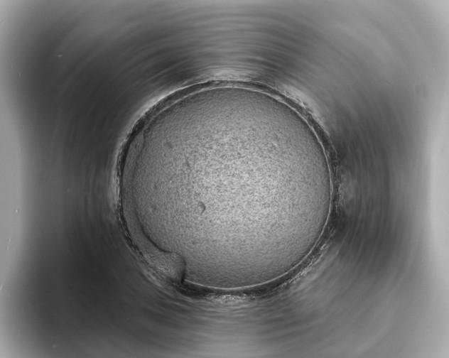 X0000094071027200710261242