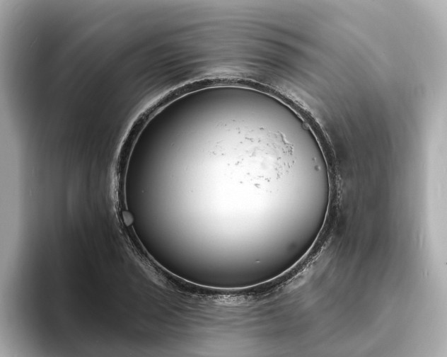 X0000094071029200710261242