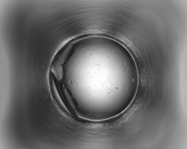 X0000094071030200710261242