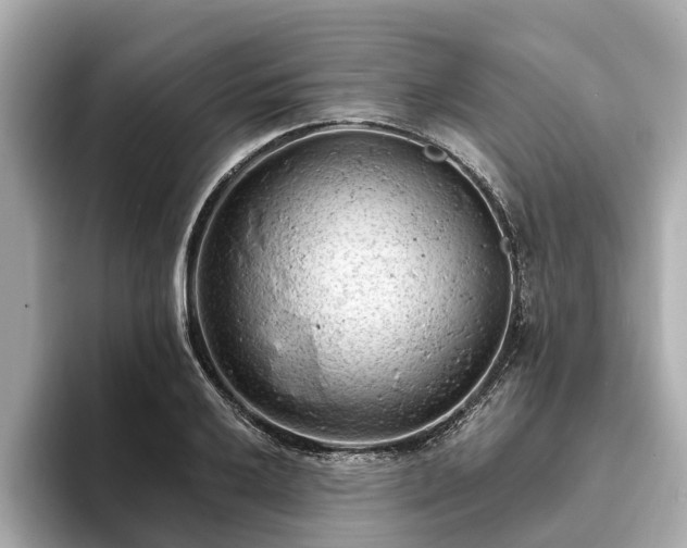 X0000094071032200710261242