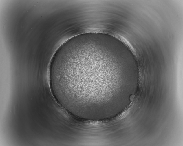 X0000094071035200710261242