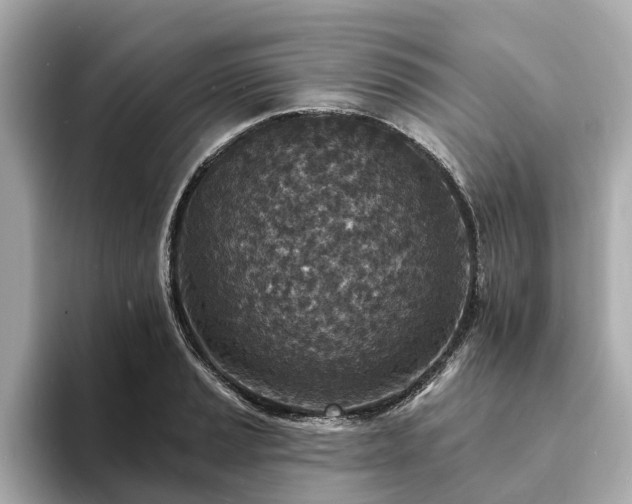 X0000094071037200710261242