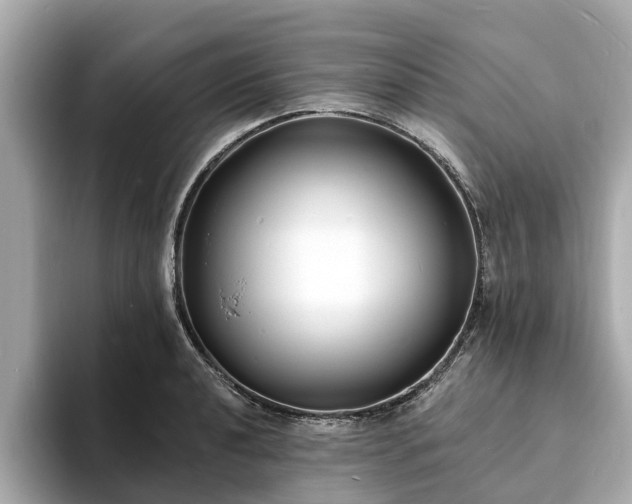 X0000094071040200710261242