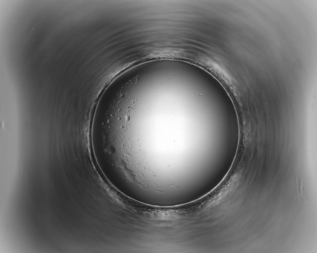 X0000094071041200710261242