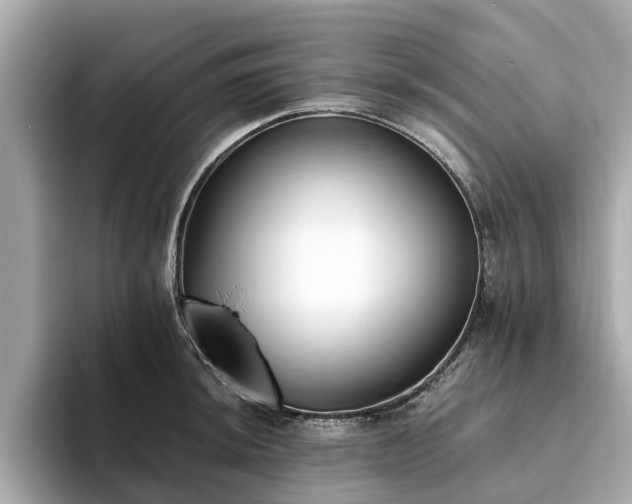 X0000094071044200710261242