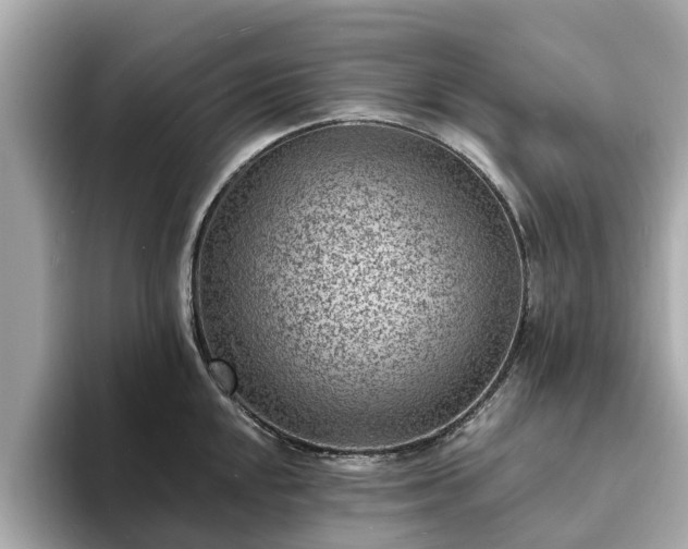 X0000094071048200710261242