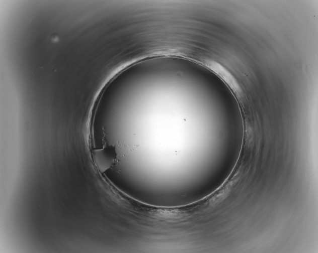 X0000094071052200710261242