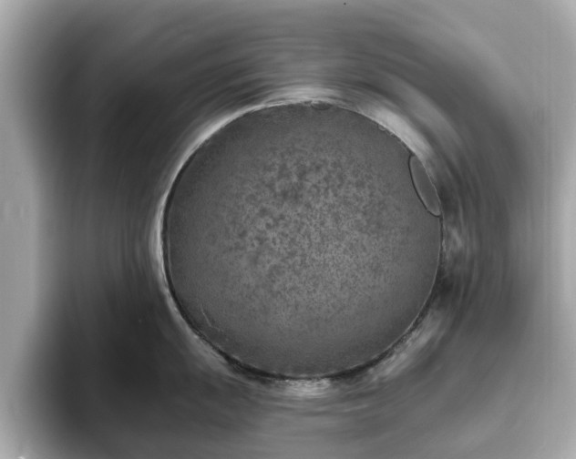 X0000094071055200710261242