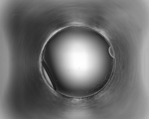 X0000094071056200710261242