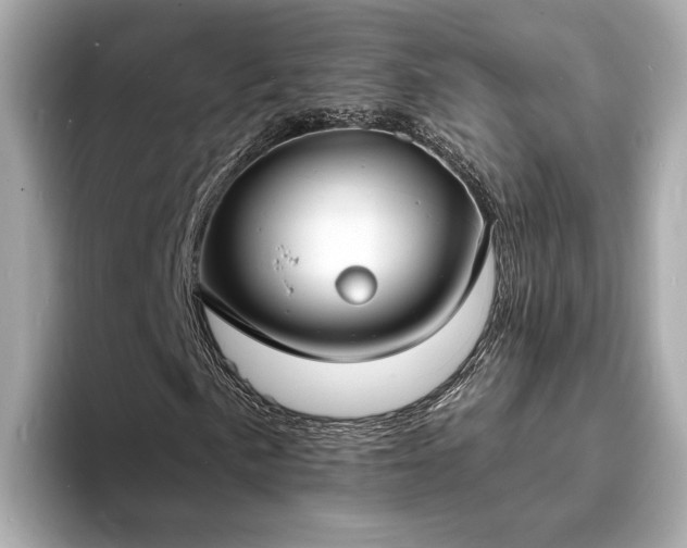 X0000094071057200710261242