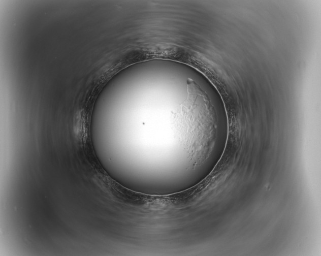 X0000094071058200710261242