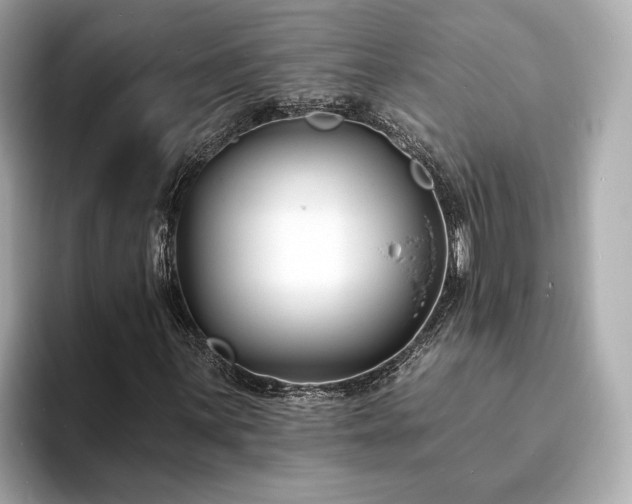 X0000094071059200710261242