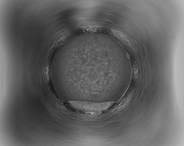X0000094071060200710261242