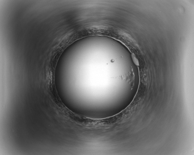 X0000094071061200710261242