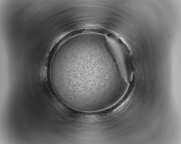 X0000094071066200710261242