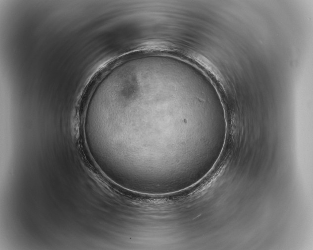 X0000094071067200710261242