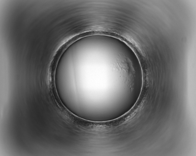 X0000094071070200710261242