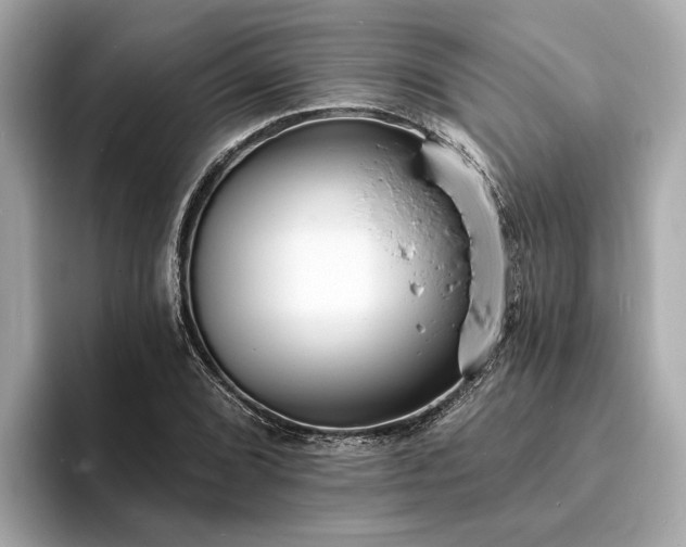 X0000094071072200710261242