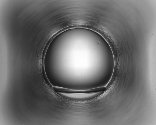 X0000094071073200710261242