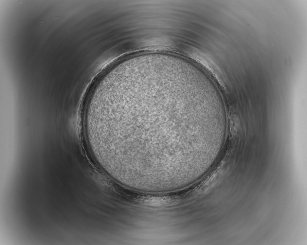 X0000094071074200710261242
