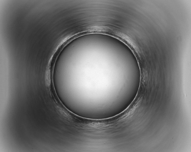 X0000094071075200710261242