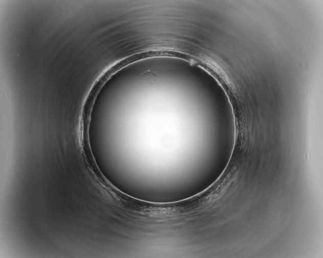X0000094071076200710261242