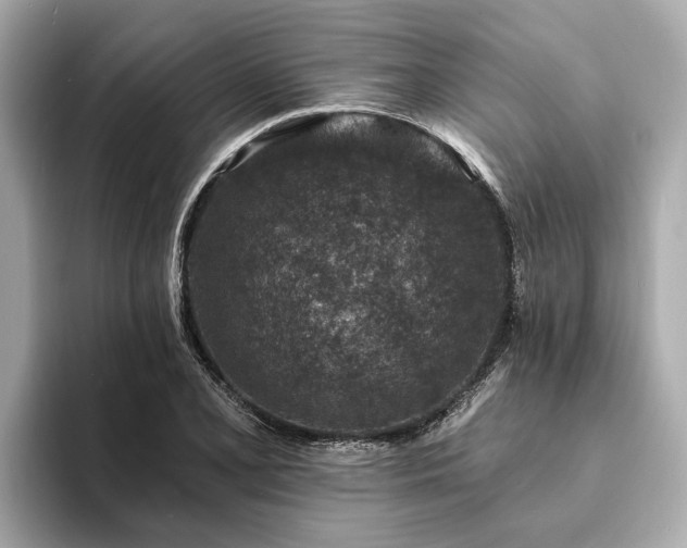 X0000094071077200710261242