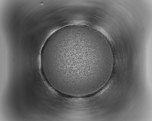 X0000094071079200710261242