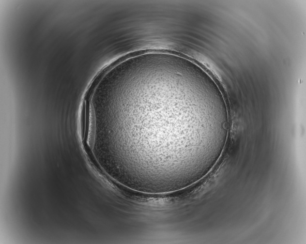 X0000094071080200710261242