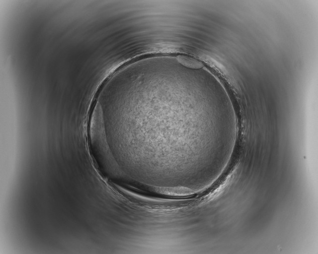 X0000094071081200710261242