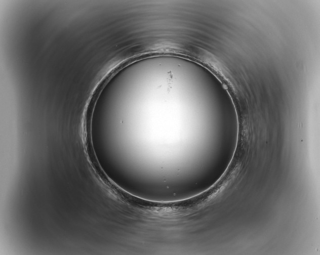 X0000094071082200710261241