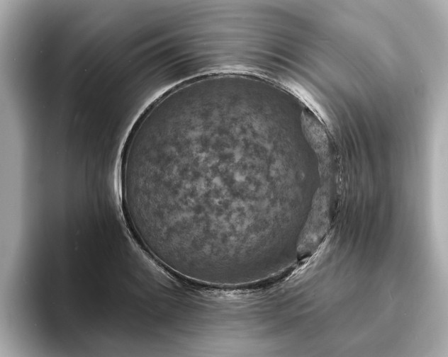 X0000094071084200710261241