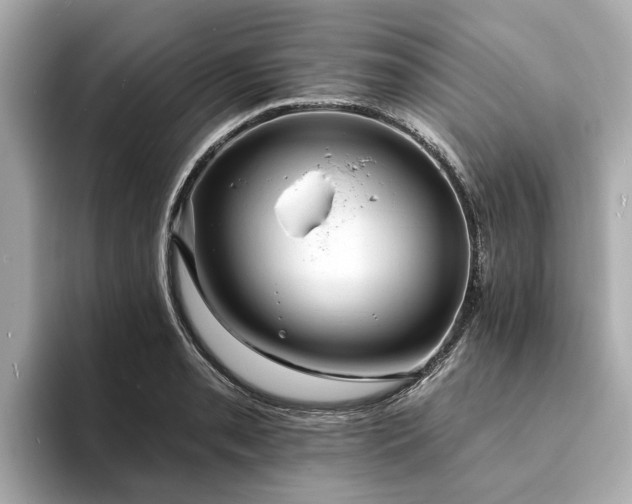 X0000094071085200710261241
