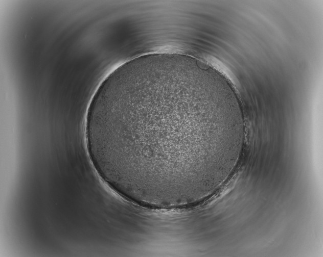 X0000094071087200710261241