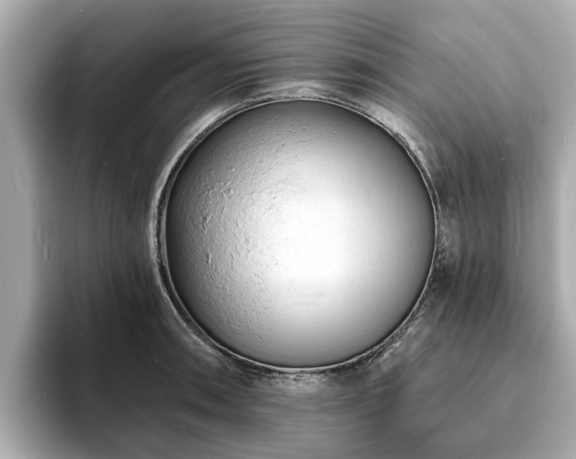X0000094071090200710261241