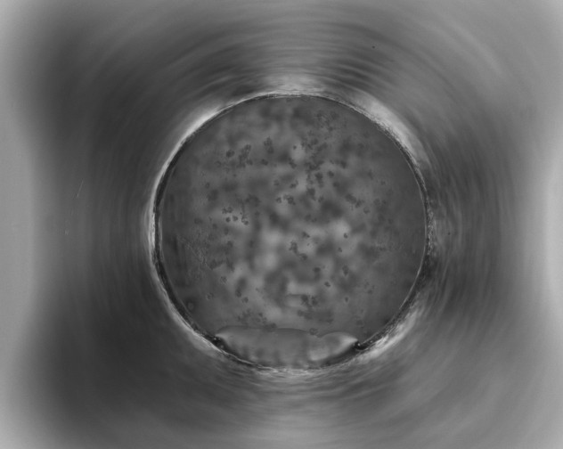 X0000094071095200710261241