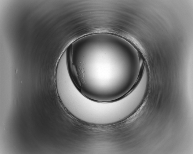 X0000094071097200710261241