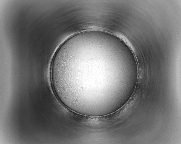 X0000094071098200710261241