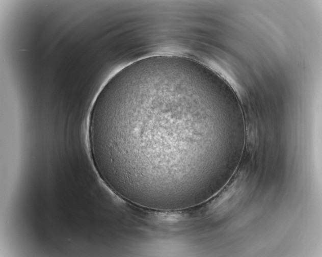 X0000094071103200710261241