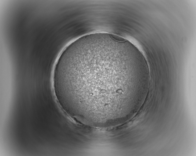 X0000094071104200710261241