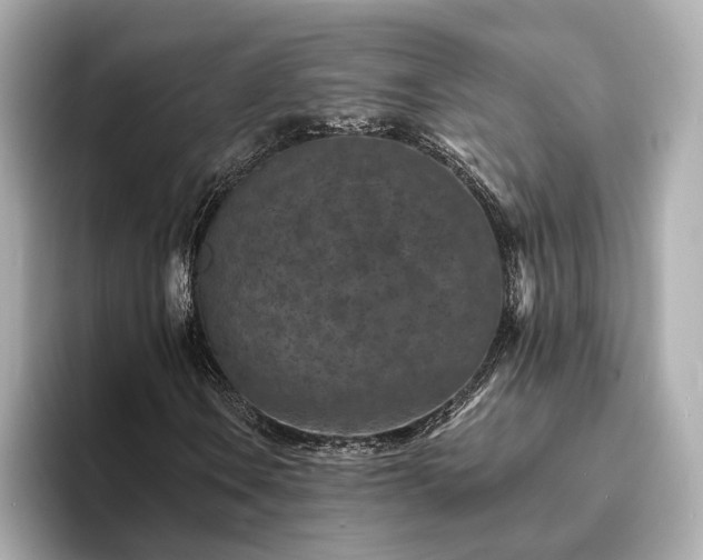 X0000094071106200710261241