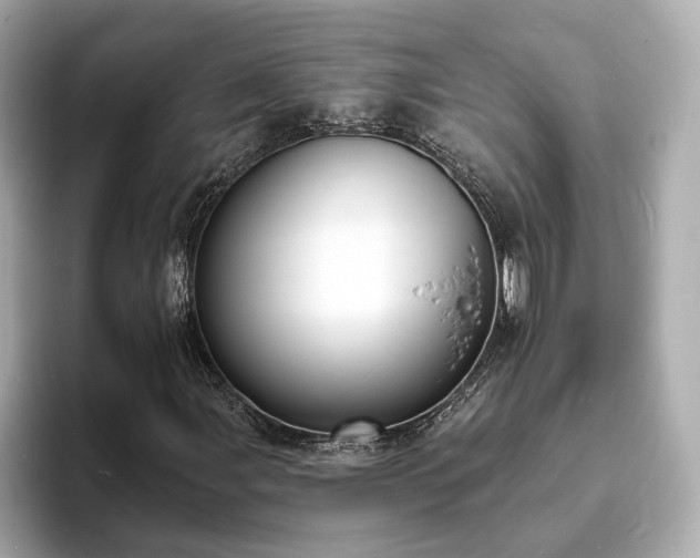 X0000094071107200710261241